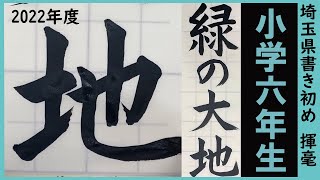 埼玉県書き初め課題書いてみました！小学6年生編【書き初め】【埼玉県】【小6】 [upl. by Oriole]