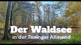 Der Waldsee in der Teninger Allmend [upl. by Letti]