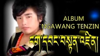 ༡༢ གཞས། ངག་དབང་བསྟན་འཛིན། NGAWANG TENZIN [upl. by Latonia]