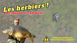 Pourquoi fautil pêcher dans les herbiers [upl. by Enilec]