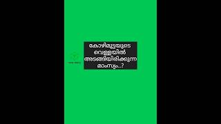 മുട്ടയുടെ വെള്ളയിൽ ഉള്ള മാംസ്യം🍳🍳🍳🔴🔴🍳🍳🍳🔴🔴🍳🍳🍳🔴🔴🍳🍳shorts pscgk psc [upl. by Michaud]