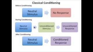 Psychology GCSE Atypical Behaviour [upl. by Ldnek]