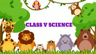 Oviparous animals and Viviparous animals Class 5 Science [upl. by Eisac]