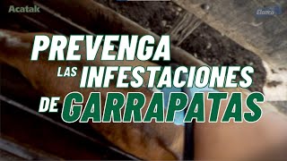 Acatak™– Prevenga las infestaciones de garrapatas [upl. by Nagard]