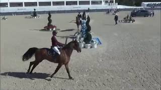 ANDIAMO SEMILLY 5ème 150m CSI4 St Tropez 2019 [upl. by Husha]