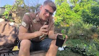 Pflanzen Unboxing 01 I Meine Traumpflanzen ziehen in meinen Garten [upl. by Peirsen]