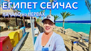 Египет 2024 Как ВАМ ТАКОЕ❗️ПЕРВАЯ линия ПОГОДА МОРЕ ПЛЯЖ Tamra Beach Resort 4 Шарм Эль Шейх [upl. by Becker]