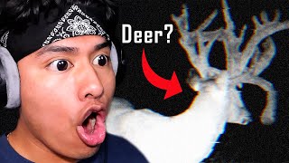 PEOPLE DISAPPEARED BECAUSE OF THIS FALSE DEER  3 Analog Horror Animations [upl. by Capon]