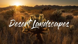 Landscape Photography  Desert Compositions [upl. by Venditti]