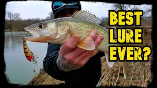 Best bait for walleye [upl. by Derayne810]