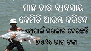 Fish Farming in Odisha  Machha Chasha Byabasaya  How to start Fish Farming Business [upl. by Arrio26]