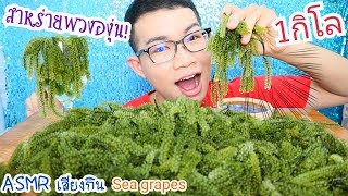 ASMR eating เสียงกิน สาหร่ายพวงองุ่น 1 กิโล บอกวิธีกิน SEA GRAPES 1kg 바다 포도 Mukbang ขันติ [upl. by Anella930]