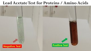 Lead acetate Test [upl. by Arun]