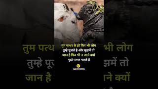 Gau Mata mata mom motivation sorts [upl. by Peirce]