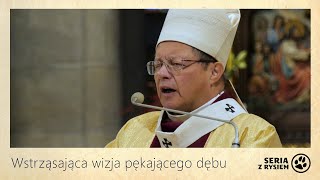 Wstrząsająca wizja pękającego dębu  kard Grzegorz Ryś [upl. by Reta]