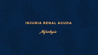 Injuria Renal Aguda  Nefrología  PARTE 2 [upl. by Hosfmann]