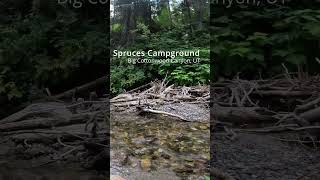 Spruces Campground Sticks [upl. by Ithnan]