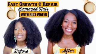 Stimuler la pousse ⎮ Fast Growth amp Repair Natural Hair With Rice Water  ReviewDemo [upl. by Nodnerb]