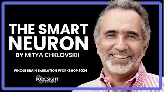 Mitya Chklovskii  The Smart Neuron  WBE Workshop 2024 [upl. by Fredi]