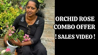 Orchid Rose  COMBO OFFER   Anju‘sgarden  RPerunad  Pathanamthitta [upl. by Jean151]