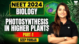 Photosynthesis in Higher Plants  Part 1  NEET 2024  Seep Pahuja [upl. by Yelsnik]