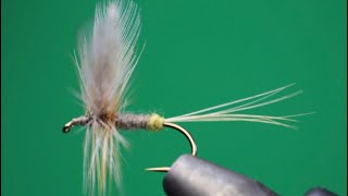 LADY BEAVERKILL CLASSIC CATSKILL DRY FLY  FLY TYING TUTORIAL [upl. by Jamison]