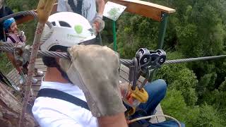 Tsitsikamma Canopy Tour livinglifetothefullest adventure southafrica [upl. by Matthei55]