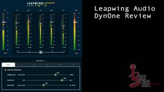 Leapwing Audio DynOne Review [upl. by Margaretha]