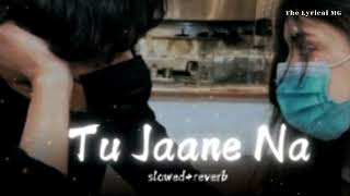 Tu Jaane Na  Slowed and Reverb  Atif Aslam  Lofi song  The Lyrical MG [upl. by Eden]