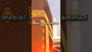 Rahmatul lil alameen  Maher Zain  Arabic naat  Mohammad saw naat  muhammadﷺ naat viralshorts [upl. by Adnomar]