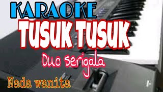 Tusuk tusuk  Duo serigala Karaoke [upl. by Annatnom902]