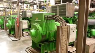 General Electric Jenbacher gas engine by biogas [upl. by Dickson583]