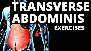 7 Effective TRANSVERSE ABDOMINIS Exercises WORK IMMEDIATELY [upl. by Graehl]