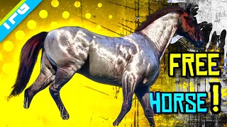 Get this Dutch Warmblood  Chocolate Roan Early Chapter 2  RDR2 [upl. by Madeline743]