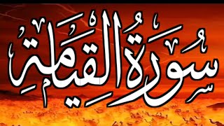 Emotional Quran recitation  Surah AlQiyamah سورة القيامة ⋮Qari Saqib Tlg The Resurrection [upl. by Kcirdled]