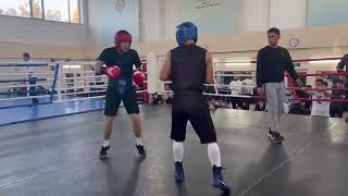 Mujibillo Tursunov vs Ruslan Abdullaev 635 kg technical sparring [upl. by Kovar]