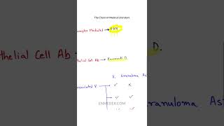 Vasculitis Classification tcml [upl. by Aitekram]