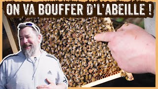 DES ABEILLES ET DU FESTIVAL  S08E09 [upl. by Yenial]