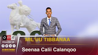 OMN Miluu Tibbanaa Irra Deebii Yaadannoo Calii Calanqoo Waggaa 136ffaa Gur 18 2024 [upl. by Nobell]