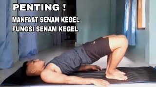 SENAM KEGEL Manfaat Pengertian Cara melakukan dan pentingnya senam kegel [upl. by Asile]