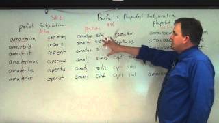 Perfect and Pluperfect Subjunctive in Latin [upl. by Adaven]