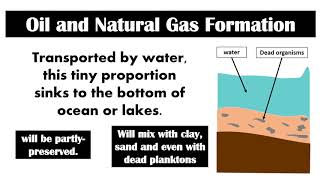 Fossil Fuel Formation  Lesson 6  Earth Science [upl. by Ciaphus]