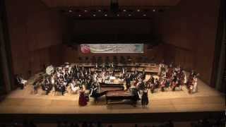 SaintSaens Carnival of the Animals Part I performed by Millennium Youth Orchestra [upl. by Paschasia]