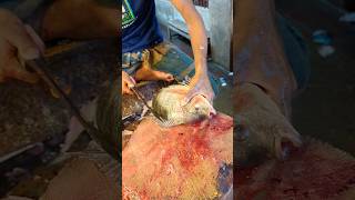 Amazing Tilapia Fish Cutting Skills In Bangladesh Fish Market By Expert Cutter shorts [upl. by Aryek]