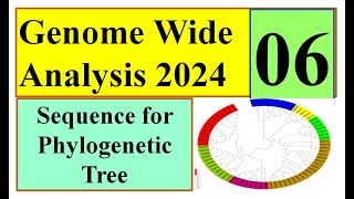 Sequence for Phylogenetic Tree part 01 Genome wide study 2024 Part 06 [upl. by Hyacintha]