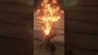 Average Sekiro Hitboxes [upl. by Bounds]