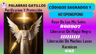 CÓDIGOS SAGRADOS DE AGESTA PARA LIBRARSE DE TRABAJOS DE MAGIA NEGRA Y KARMAS LIMPIEZA POR 9 DÍAS [upl. by Stillas]