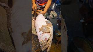 Amazing Hamour Fish Cutting Skills In Bangladesh Fish Market By Expert Cutter shorts [upl. by Nasho]