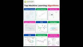 top machine learning algorithm programming machine machinelearning education python algorithms [upl. by Harshman]