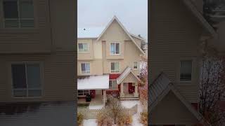 First snow 2024 Edmonton [upl. by Bezanson]